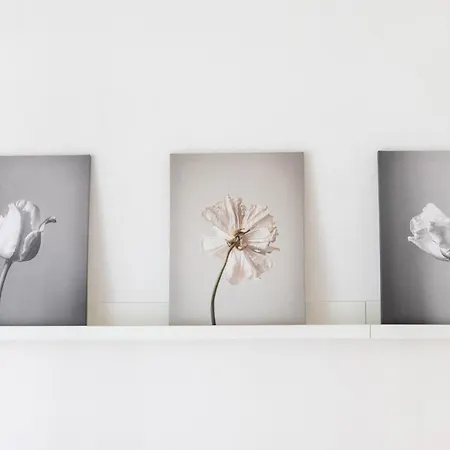 Mi Casa Es Tu Casa * Donnalucata (Sicily)